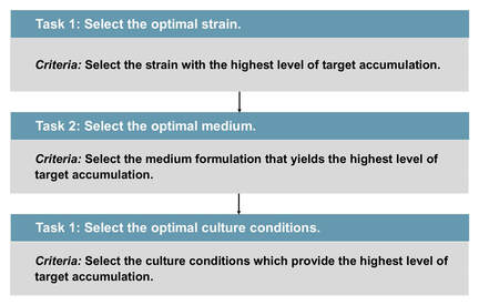Flowchart of selecting optimal strain, medium, conditions.