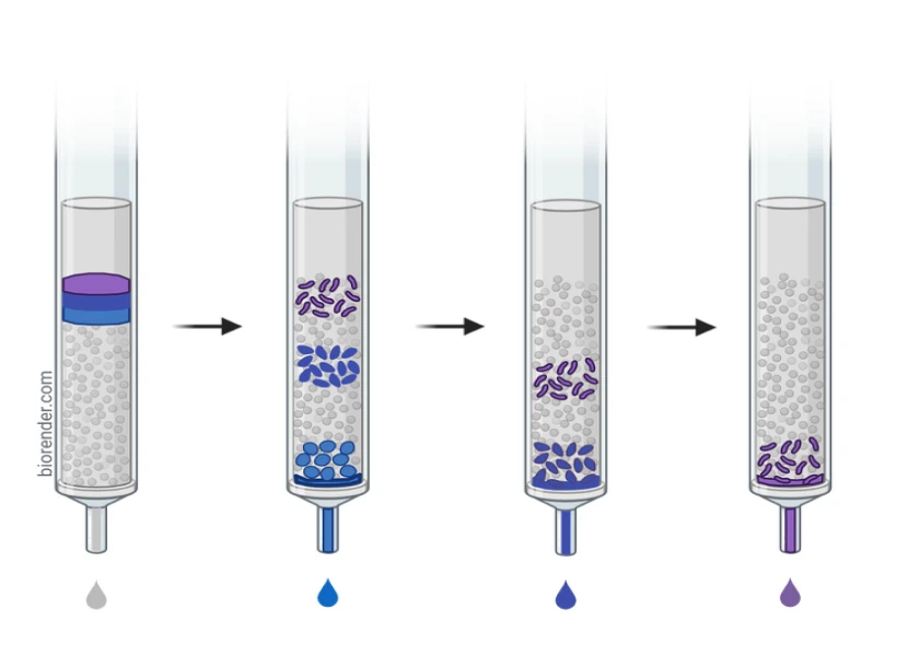 Column chromatography process with color separation.