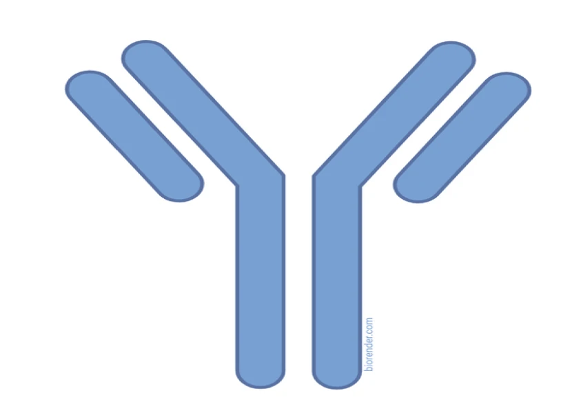Athena Enzyme Systems™
