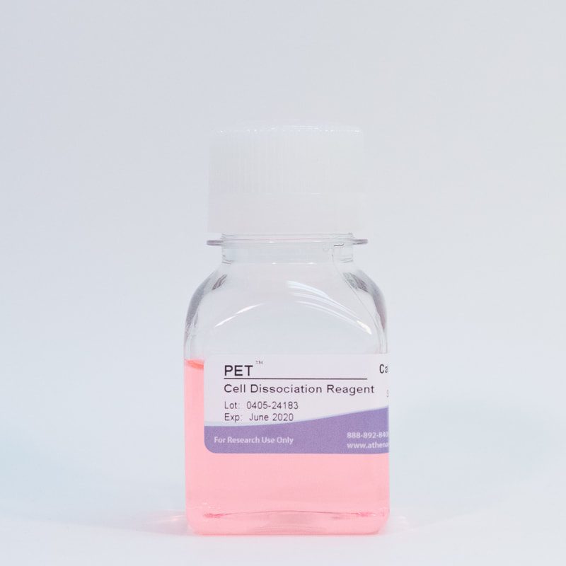 Clear bottle with pink cell reagent.