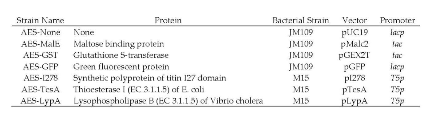 Table of bacterial strains and protein details.