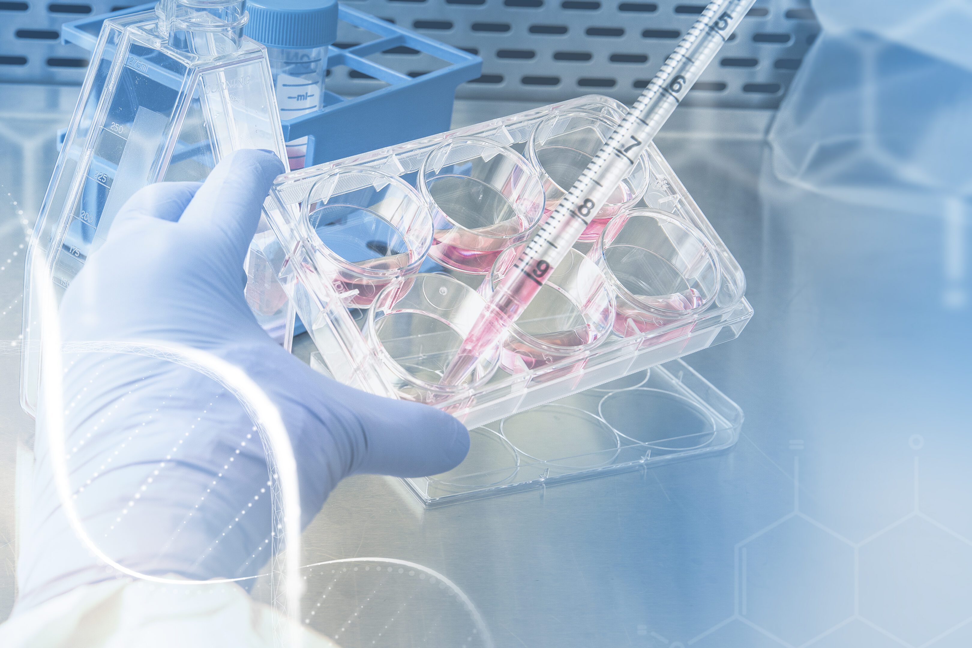 Athena Enzyme Systems™