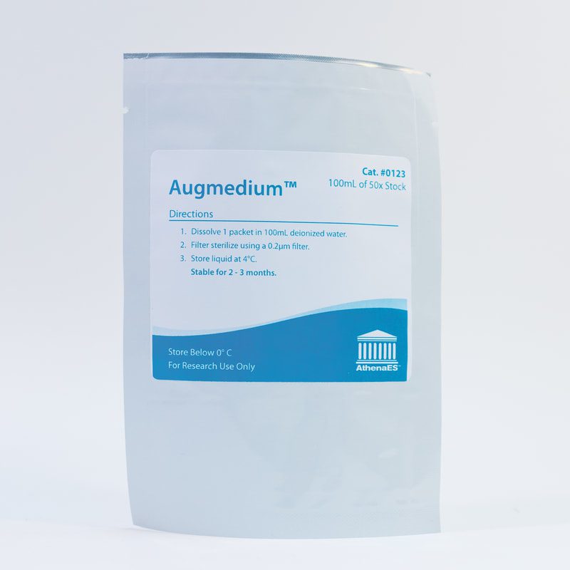 0123 augmedium_orig