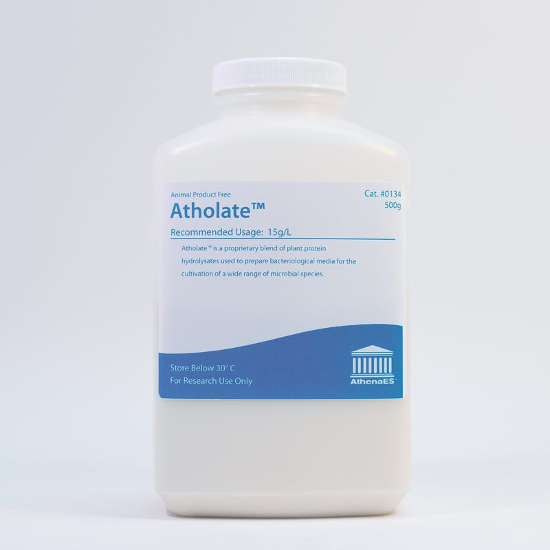0134 atholate_orig