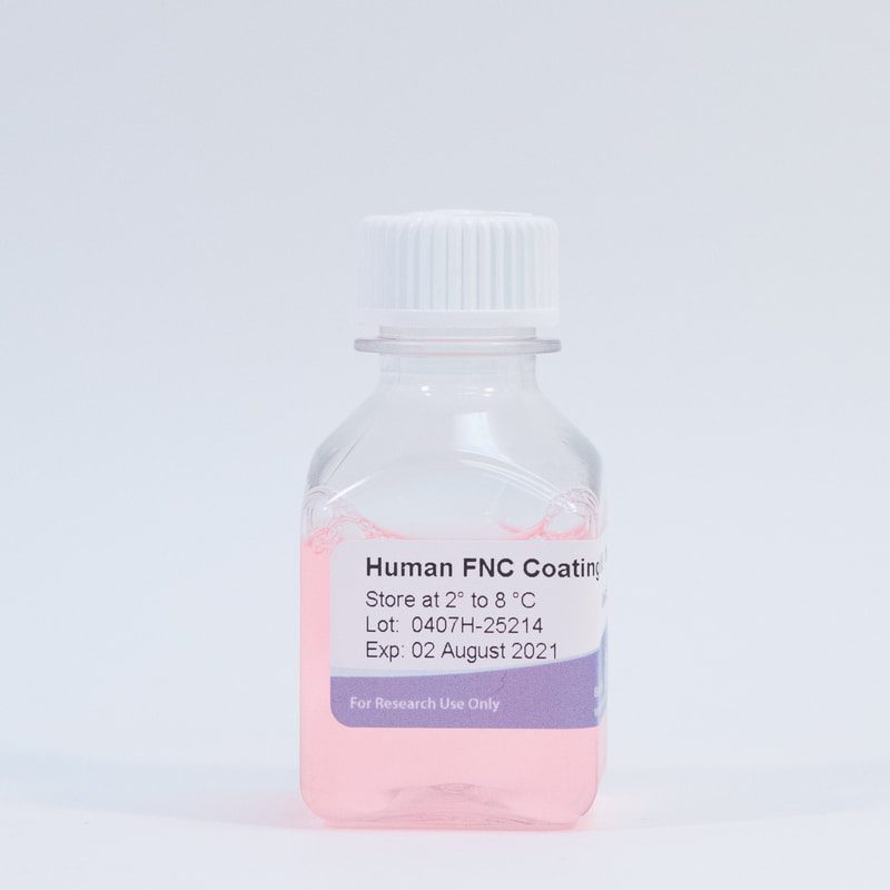 0407H human-fnc-coating_orig