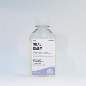 SILAC - DMEM High Glucose